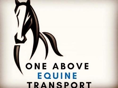 One Above Equine Transport